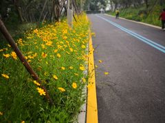 -飞凤山奥体公园
