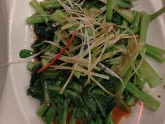 白灼芥兰-鑫巴蜀小镇 · 水煮鱼专研店(玉桥店)