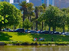 -墨尔本皇家植物园