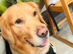 -大明寺素食坊(扬子江中路店)