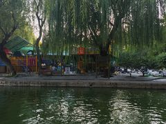 -团结湖公园