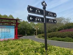 -宜兴龙背山森林公园