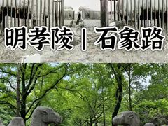 -紫金山山顶公园