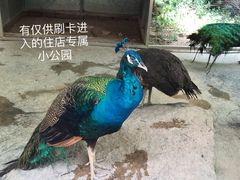 -厦门悦华酒店