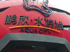 -鹏欣水游城