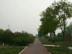 -永定河休闲森林公园