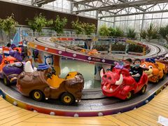 -南宫五洲植物乐园