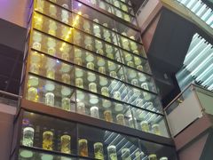 -广东中医药博物馆