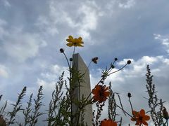 -白草畔自然风景区