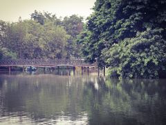 -海珠湖公园