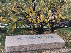 -元大都城垣遗址公园