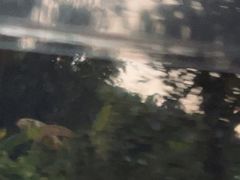 -孔雀湖生态旅游区