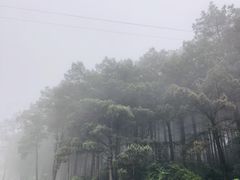 -綦江古剑山