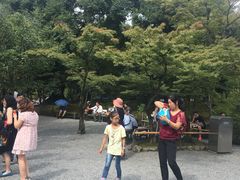 -豆政(金閣寺境内売店)