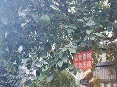 -天怡·鱼工厂(临江店)