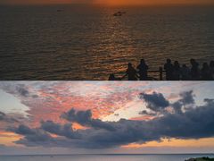 -枸杞岛