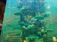 -青岛嘉年华主题乐园