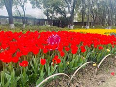 -玄武湖景区-情侣园游乐场