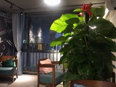 -梵猫·新养生(湛江鼎盛店)