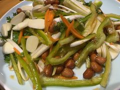 -丁荣华炸串(托乐嘉店)