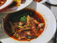 -新概念来凤鱼(璧山店)