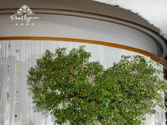 -上海明天广场JW万豪酒店