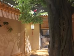 -上鸿汤泉•易营+