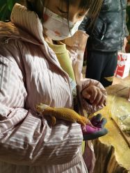 -酷嗒动物文化乐园(cutezoo西溪乐天城店)