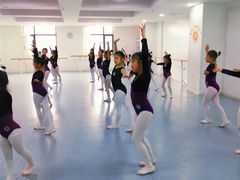 -西安小天鹅艺术团(金花路校区)