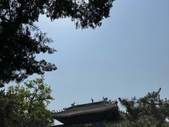 -莲池书院博物馆