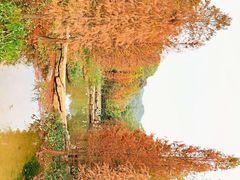 -云溪植物园