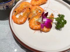 -唐猫庭院·千年陕菜(大唐不夜城店)