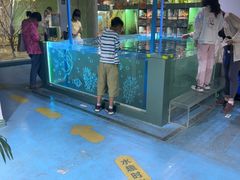 -上海大自然野生昆虫馆(东方明珠·爬宠昆虫探索中心)