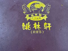 -姚林轩