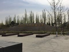 -永定河休闲森林公园