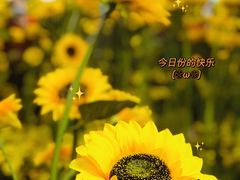 -天津梵高星空艺术馆(天河城旗舰店)