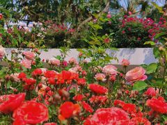 -人民公园(罗湖区)