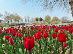 -玄武湖景区-情侣园游乐场