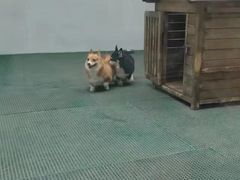 -南昌动物园