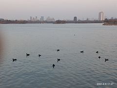 -百花洲
