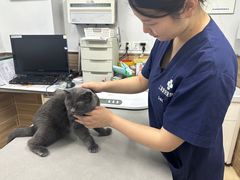 -爱侣宠医·鹦鹉专科·小型哺乳类·异宠专科(灵石路店)