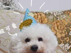 -书亦烧仙草(印象汇都市店)