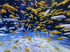 -成都浩海立方海洋公园