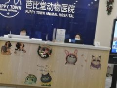 -芭比堂动物医院·24小时·眼科中心(深圳中心)
