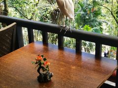 -吉隆坡雀鸟公园