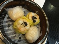 虾饺-糖朝(尖沙咀店)