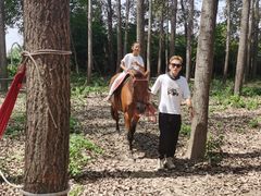 -林间山庄