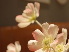 餐具摆设-POKEE VIA&Brunch·维娅(重庆来福士店)