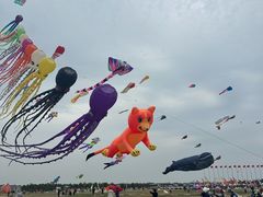 -潍坊滨海云门国际风筝放飞场