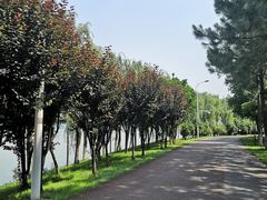 -艾溪湖湿地公园